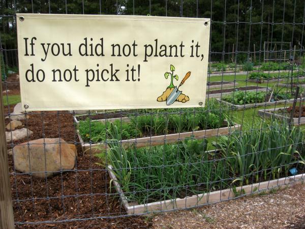 photo of a sign saying, If you did not plant it, do not pick it.