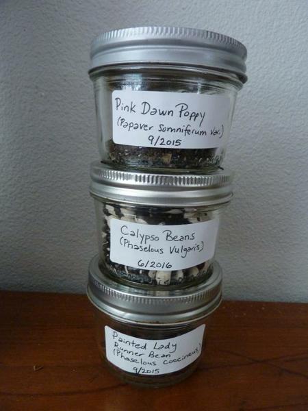 seed saving glass jars