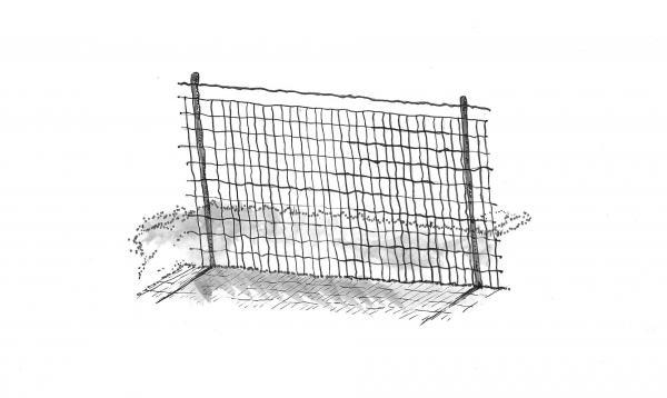raccoon fence sketch