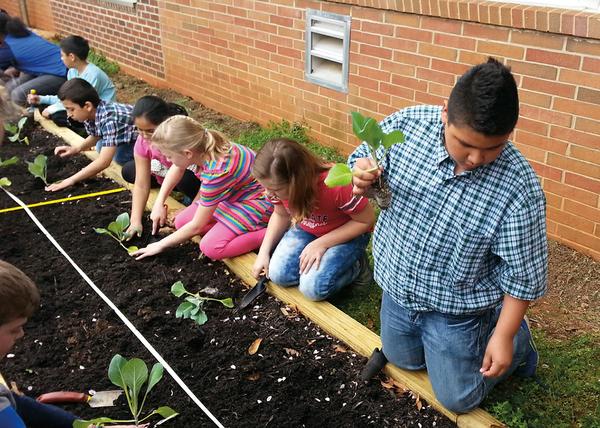 Students work in a raised-bed planter.