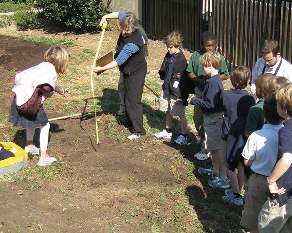 Students learn about gardening in a school garden.