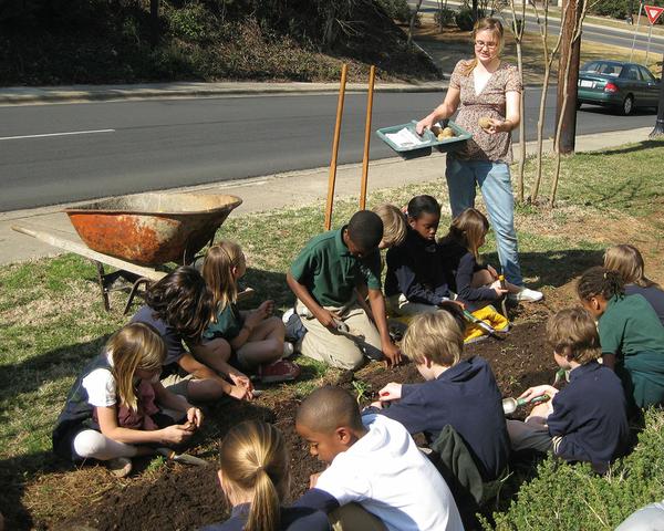 A teacher and students work in a school garden.