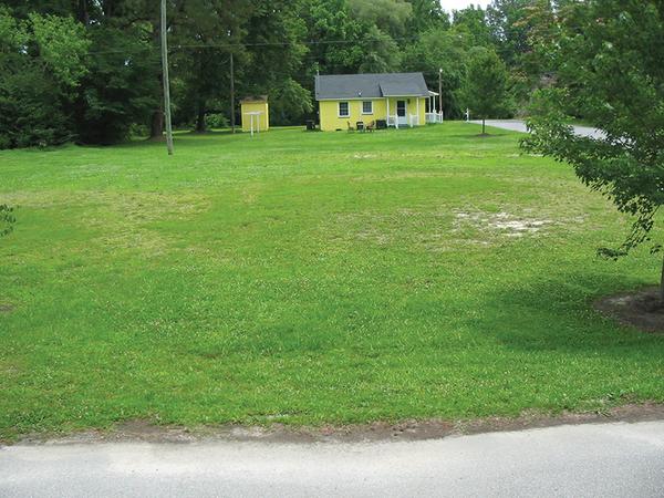 Large, flat, green lawn in front of yellow house