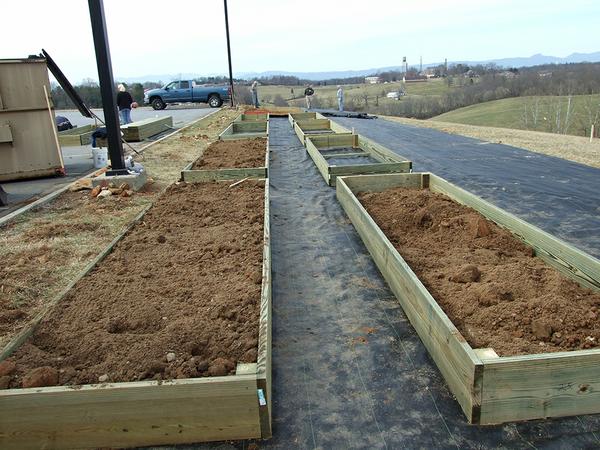 Raised beds filled with soil