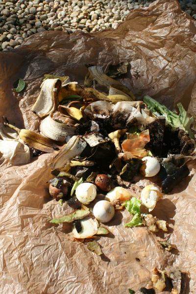 kitchen scraps ready for compost
