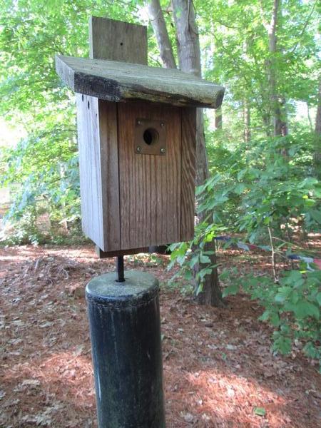 Photo of bird box with small hole for chickadees