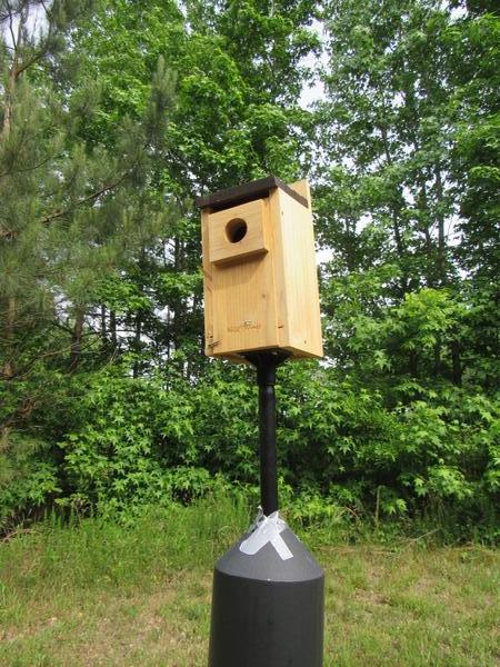 Photo of blue bird box on field / forest edge