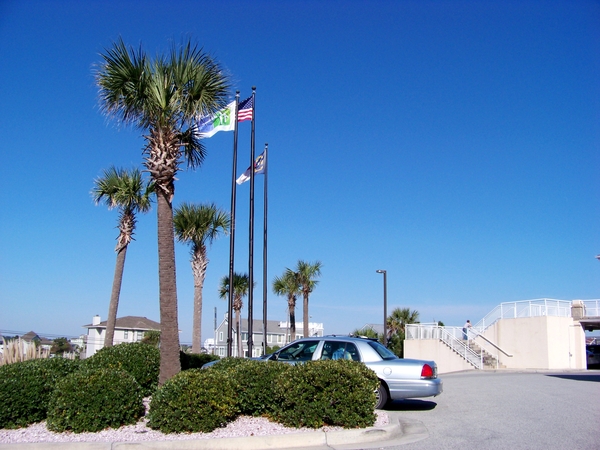 Palm trees near flag poles with blue car in background