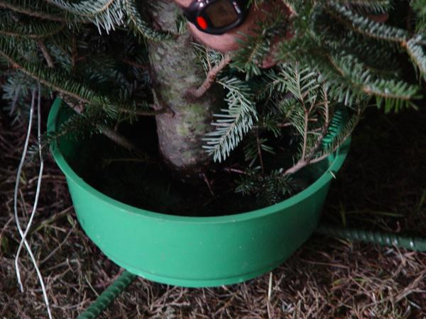 Christmas tree stand with a large green plastic water bowl