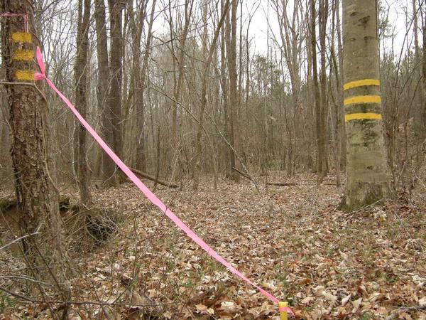 corner marker of forest property boundaries