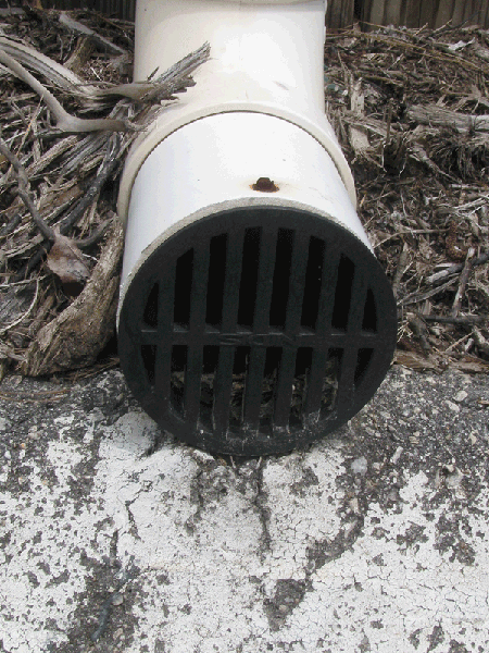 End of downspout with screen with vertical slats