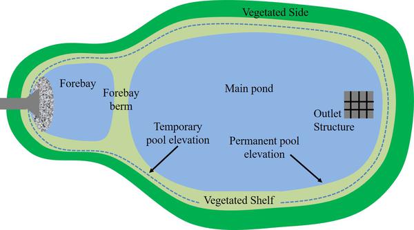 Overhead illustration of pond design elements