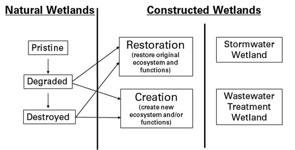 Flow Chart: Natural Wetland (Pristine-Degraded-Destroyed) Constructed Wetlands (restoration-creation) or (stormwater wetland, wastewater treatment wetland)