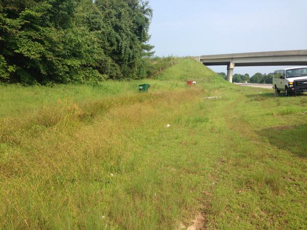 Color photo of grassy swale next to highway with overpass