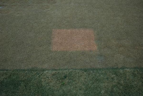 Brown square of turf in center of greener area