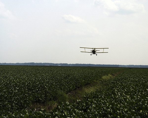 Biplane flying above soybean field