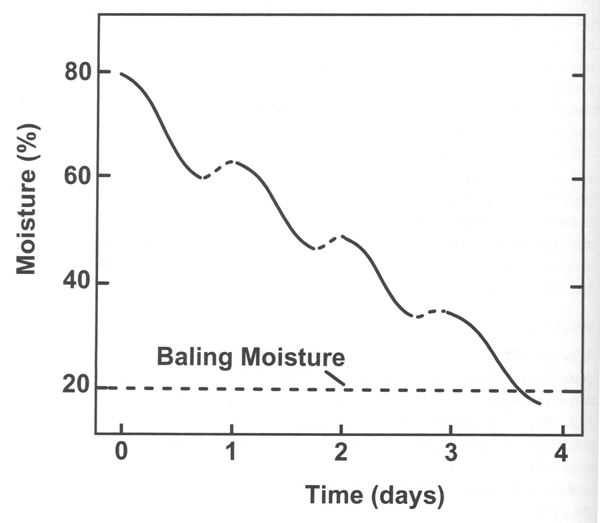 Graph of typical moisture loss pattern during hay curing. x-axis: days. y-axis: percent moisture. Straight line at 20% for baling moisture. Moisture falls from 80% to 20% by day 4.