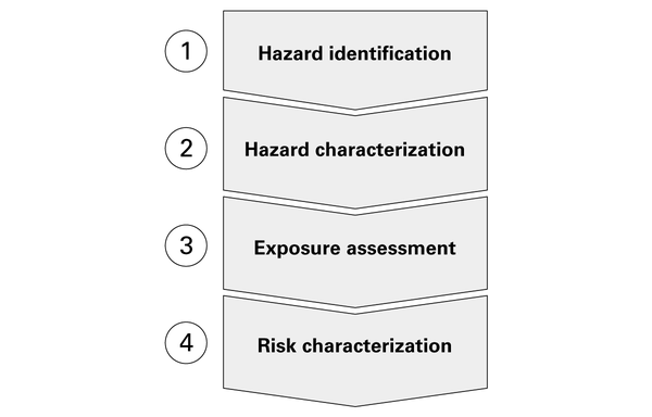 1. Hazard identification. 2. Hazard characterization. 3. Exposure assessment. 4. Risk characterization.
