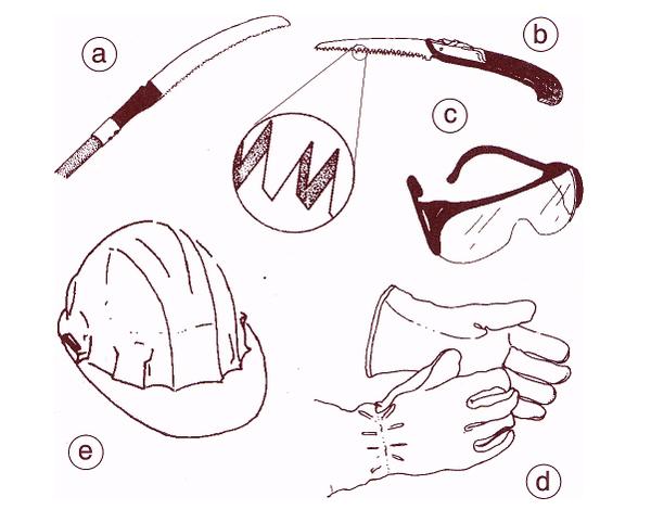 Illustration of pruning tools and safety equipment
