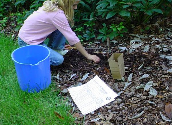 Taking a garden soil sample using a bucket and sample box
