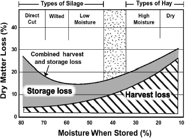 Silage has greater storage loss and Hay has greater harvest loss of Dry Matter