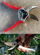 One type of bypass shears