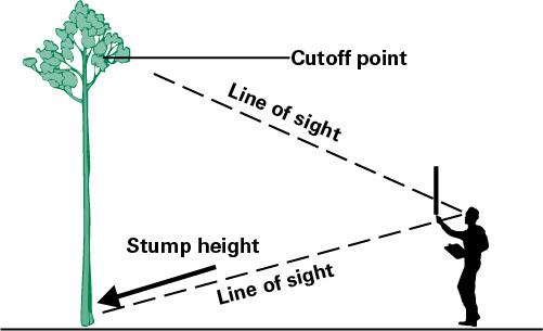 Measure merchantable height by looking up to the cutoff point