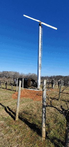 A permanently installed wind machine in a vineyard