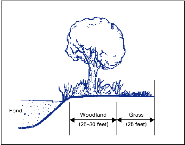 Ppond buffered by 25 to 30 feet of woodland and 25 feet of grass