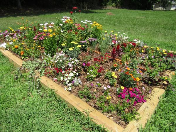 Photo of framed raised bed of multicolored blooming plants