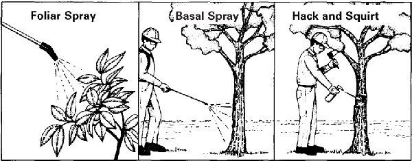 Illustrations of foliar spray, basal spray, and hack and squirt