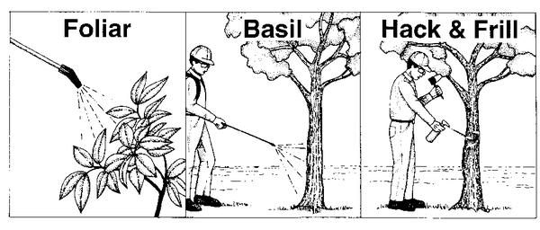 Illustration of foliar, basal, hack & frill herbicide applicatio