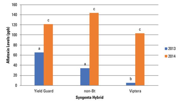 Bar graph of average AF contamination for Syngenta hybrids for 2013 and 2014