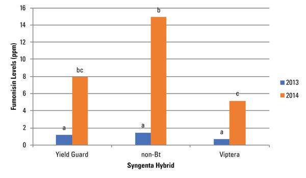 Bar graph of average FUM contamination for Syngenta hybrids for 2013 and 2014
