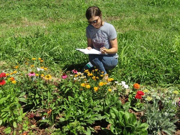 Color photo of woman with clipboard next to flower bed