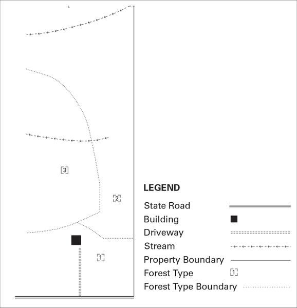 Map illustrating property features, boundaries, and forest types