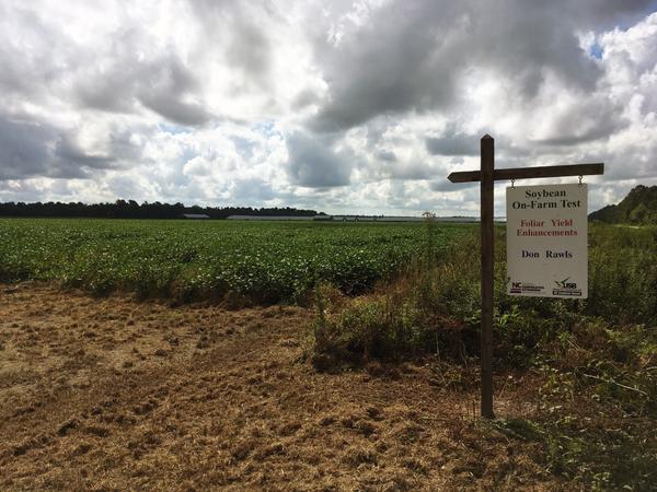 A sign reading “Soybean On-Farm Test” at edge of a field.