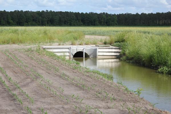 Thumbnail image for Controlled Drainage – An Important Practice to Protect Water Quality That Can Enhance Crop Yields
