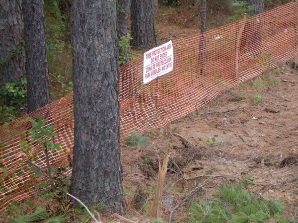 Photo of tree protection area