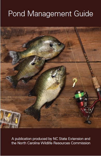 Cover Image Featuring fish, fishing pole and tackle on a wooden background