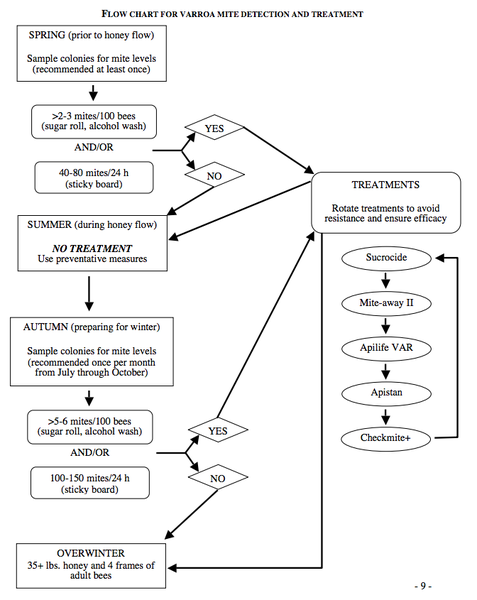 Flow chart for Varroa mite detection and treatment.