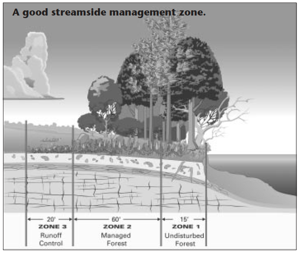 Streamside management zone.