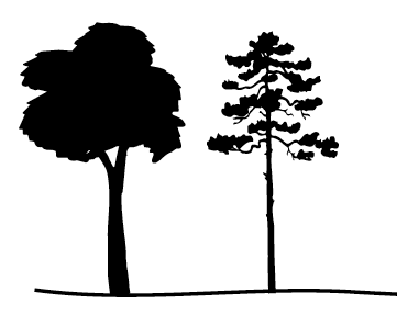 illustration of 2 Crop trees