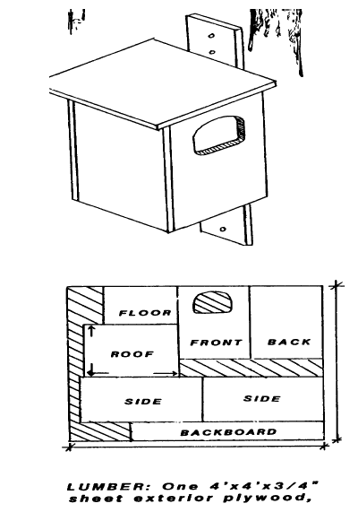 Figure 1. Owl box construction diagram and cutting pattern.