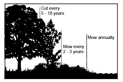 Figure 1. Schedule for maintaining forest / field edge.