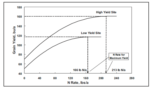 Graph of grain yield (bu/a) vs N Rate (lbs/a)