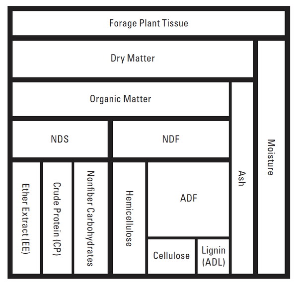 Schematic of lab analysis and chemical constituents of forages