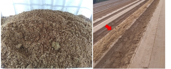 Close up of brewers spent grain (left), and brewers spent grain added to bed (right)