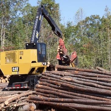 Thumbnail image for 2017 Income of North Carolina Timber Harvested and Delivered to Mills