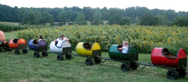 children sit in colorful train seats pulled by a tractor